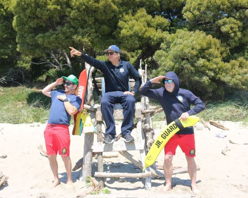 Jr. Lifeguard Rustic Tower Jr. Lifeguard Rustic Tower